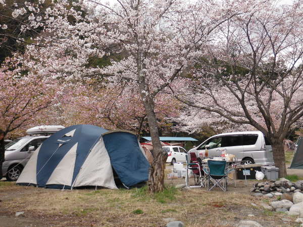 青野原オートキャンプ場