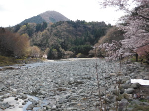 川を隔てた景観の画像09