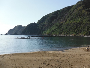 海水浴場の画像12