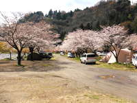 青野原オートキャンプ場の画像01