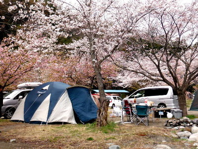 Discovery Camp01 花見キャンプの魅力