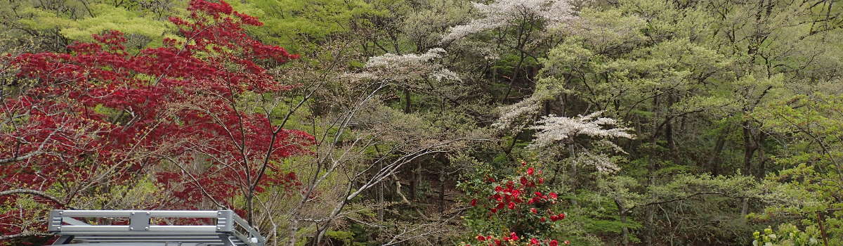 キャンプと季節の画像